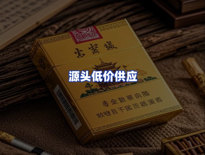 专业团队